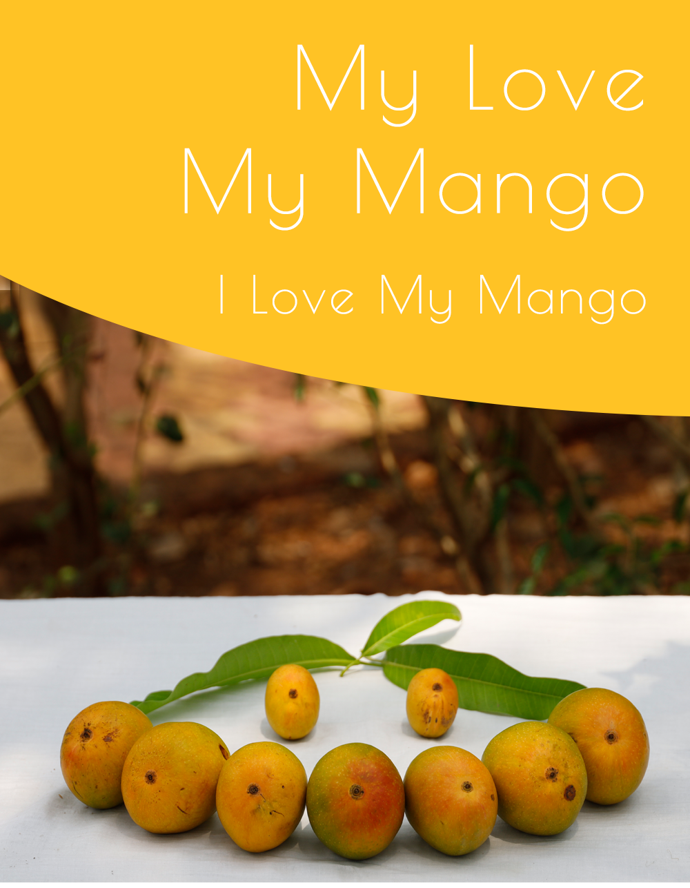 Admirable Alphonso Mangoes
